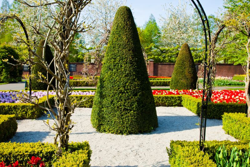 beautiful garden