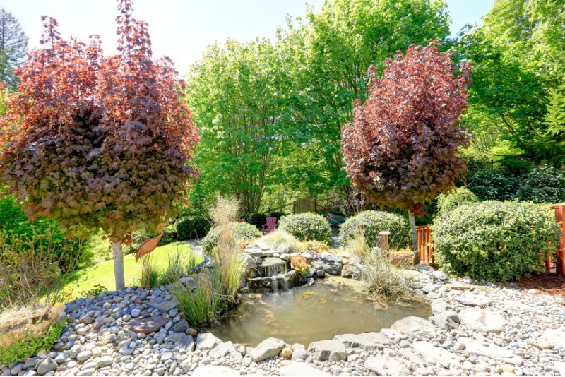 A backyard has a small pond and stones around it. There are trees planted around it too