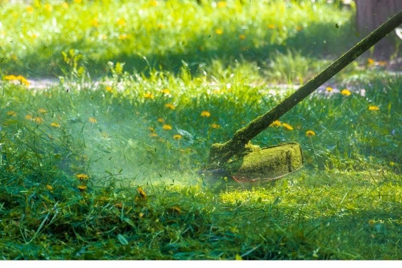 A garden is being maintained by mowing