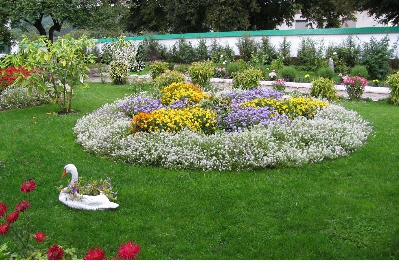 Flowers planted in the backyard to form a circle and grass planted in the backyard. white bird enjoying it too.