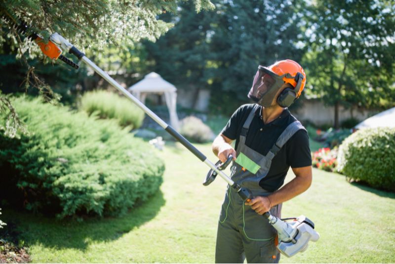 A photo of a person who is seen trimming some plants with a trimmer