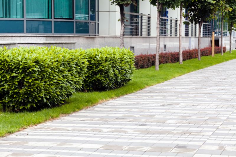 Sbrubs and trees are planted along a commercial complex and a pathway beside it