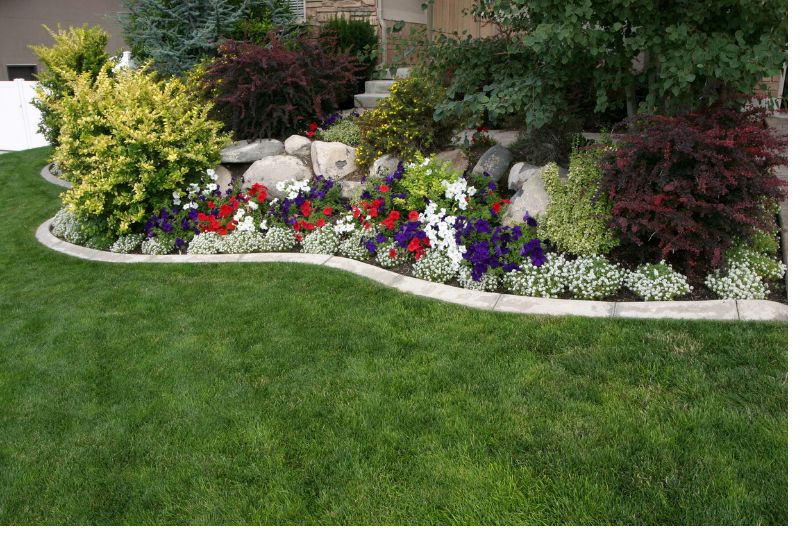 A photo with a neat frontayrad and some decorative stones placed around the flowers