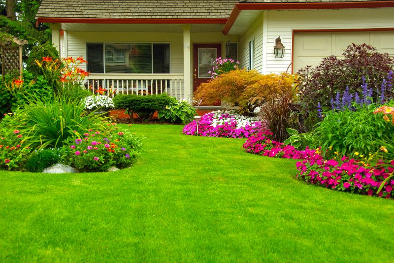 A beautifully done front yard with green grass, pink flowers around the space and decorative small shrubs