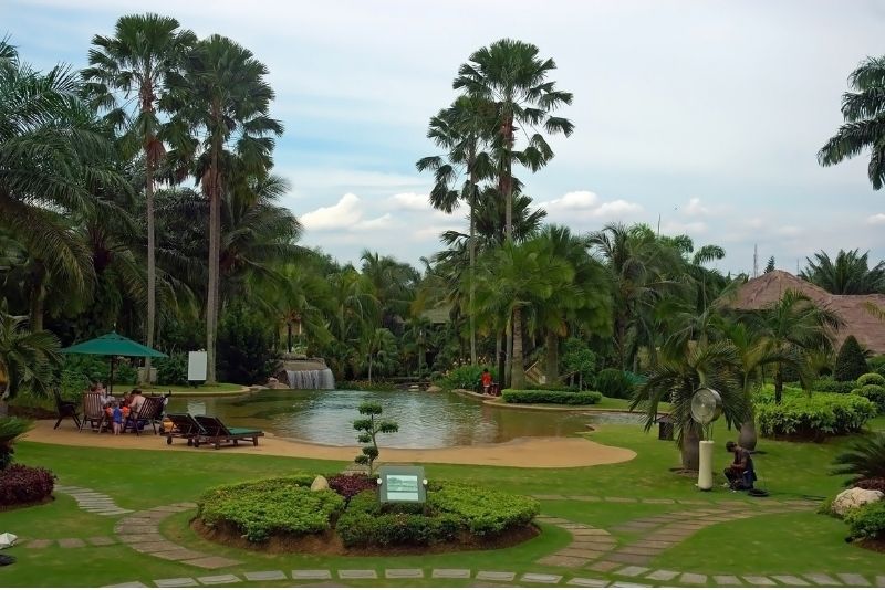 Beautiful landscape around the pool decorated with trees, shrubs and grass around it and paving around the pathways